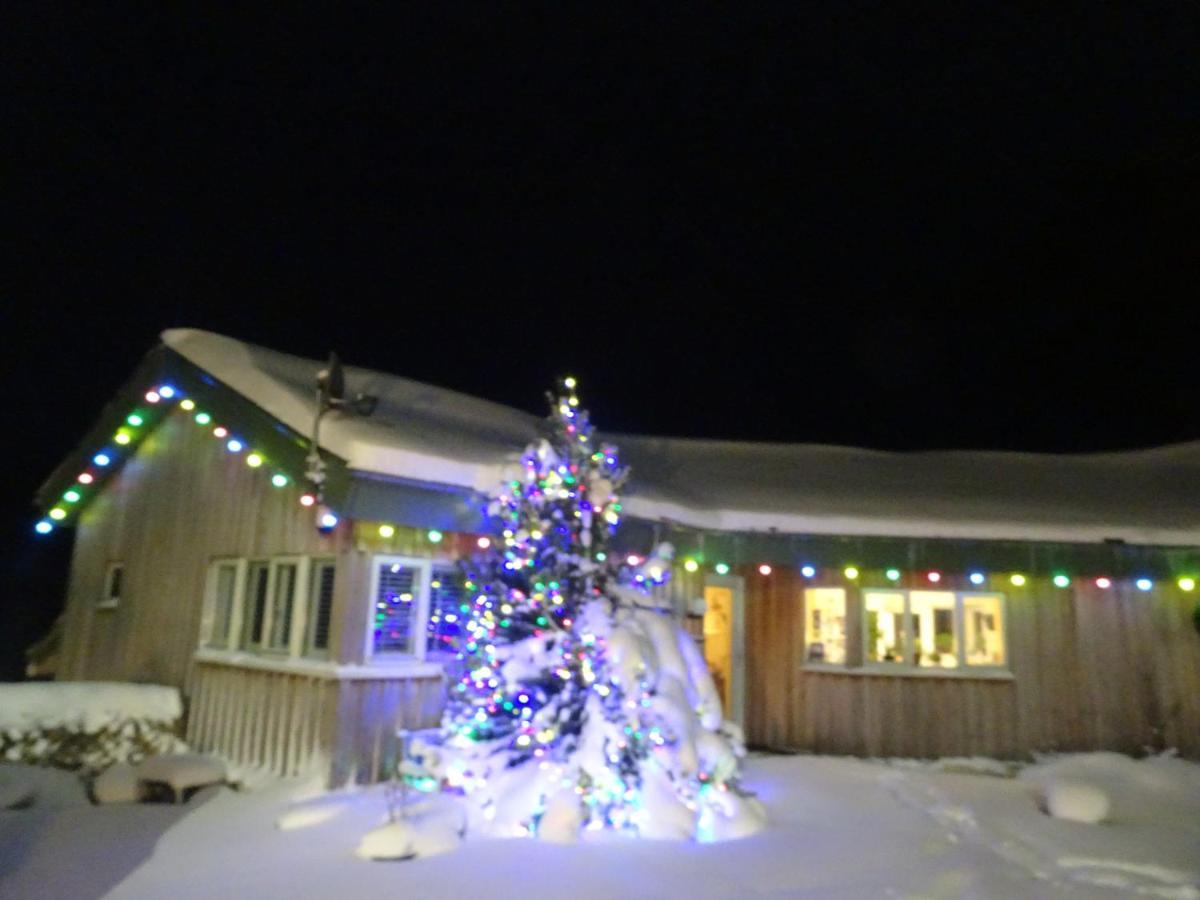 Black Burn Lodge B & B Newcastleton Extérieur photo