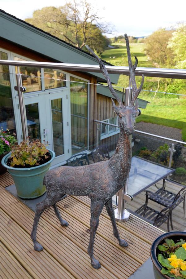Black Burn Lodge B & B Newcastleton Extérieur photo